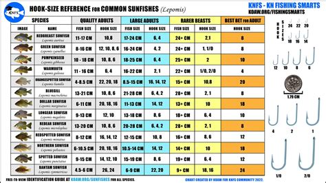 fishing hook sizes|Complete Fishing Hook Guide: Hook Sizing Charts.